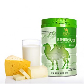 雪莲乳业驼牧尔乳酸菌配方驼乳粉 骆驼奶粉代理