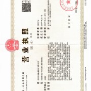 北京中软鼎晟科技有限公司